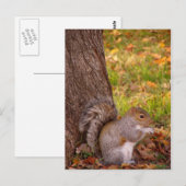 Niedliches Eichhörnchen Nah Postkarte (Vorne/Hinten)