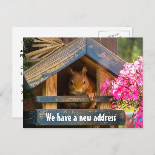 Niedliches Eichhörnchen Neue Zuhause-Adresse gerad Ankündigungspostkarte (Vorne/Hinten)