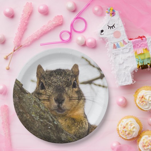 Niedliches Eichhörnchen Pappteller (Party)