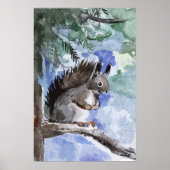 Niedliches Eichhörnchen Poster (Vorne)