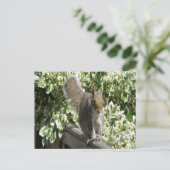 Niedliches Eichhörnchen Postkarte (Stehend Vorderseite)