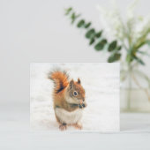 Niedliches Eichhörnchen Postkarte (Stehend Vorderseite)