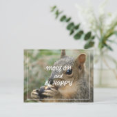 niedliches Eichhörnchen, Postkarte - weiterziehen (Stehend Vorderseite)