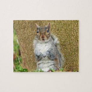 Niedliches Eichhörnchen Puzzle