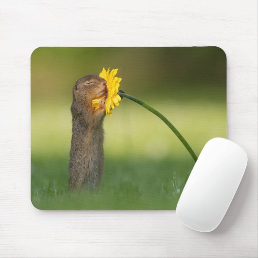 Niedliches Eichhörnchen Riecht Leuchter Blume Mousepad (Mit Mouse)