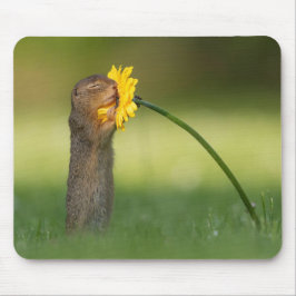 Niedliches Eichhörnchen Riecht Leuchter Blume Mousepad