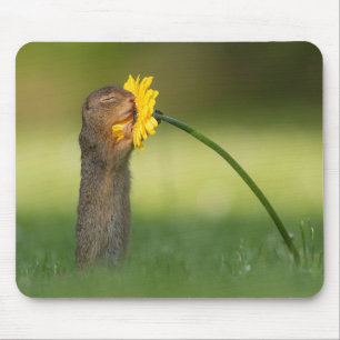 Niedliches Eichhörnchen Riecht Leuchter Blume Mousepad