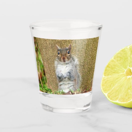 Niedliches Eichhörnchen Schnapsglas (Vorderseite)