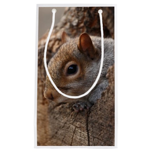 Niedliches Eichhörnchen sieht aus ihrem Loch Kleine Geschenktüte (Vorderseite)