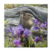 Niedliches Eichhörnchen und Lila Wildblumen Fliese (Vorderseite)