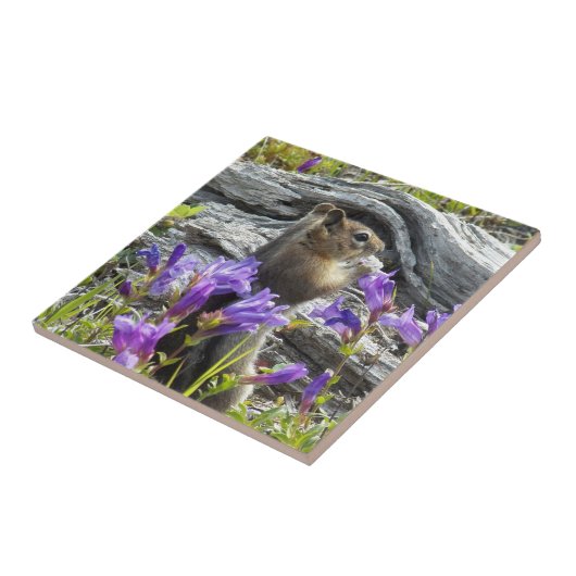 Niedliches Eichhörnchen und Lila Wildblumen Fliese (Seite)