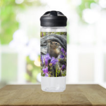 Niedliches Eichhörnchen und Wildblumen Natur Foto