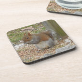 Niedliches Eichhörnchen Untersetzer Set. (Linke Seite)