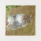 Niedliches Eichhörnchen Wandteppich (Vorderseite (Horizontal))