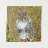 Niedliches Eichhörnchen Wandteppich (Vorderseite)