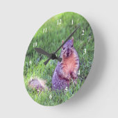 Niedliches Eichhörnchen Wildlife Foto Runde Wanduhr (Winkel)