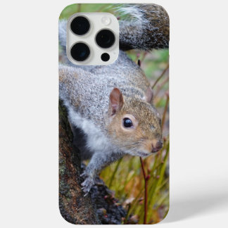 Niedliches Eichhörnchengehäuse Case-Mate iPhone Hülle