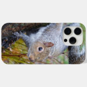 Niedliches Eichhörnchengehäuse Case-Mate iPhone Hülle (Rückseite (Horizontal))