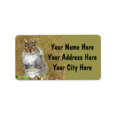 Niedliches Eichhörnchenkennzeichen Adressaufkleber (Vorne)