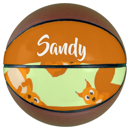 Niedliches Eichhörnchenmuster Basketball (Vorderseite)
