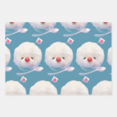 Niedliches Eisdockmuster Geschenkpapier Set (Vorderseite)