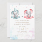 niedliches Elefantengeschlecht zeigt Babydusche Einladung (Vorderseite)