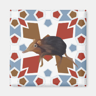 Niedliches Elephant Shrew Fun farbiges Muster Magnet