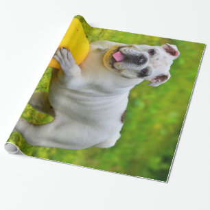 Niedliches englisches Bulldog Basketball Bulldog-L Geschenkpapier