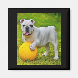 Niedliches englisches Bulldog Basketball Bulldog-L Magnet