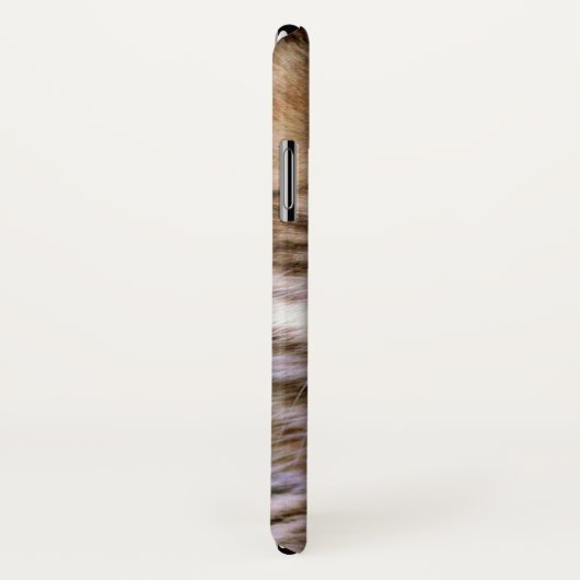 Niedliches entzückendes flaumiges Kätzchen Case-Mate iPhone Hülle (Hinten/Rechts)