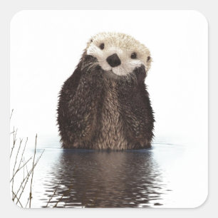 Niedliches entzückendes flaumiges Ottertier Quadratischer Aufkleber
