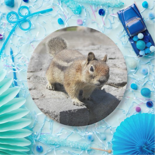 Niedliches Erdeichhörnchen Nature Foto Pappteller (Party)