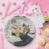 Niedliches Erdeichhörnchen Nature Foto Pappteller (Party)