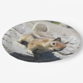 Niedliches Erdeichhörnchen Nature Foto Pappteller (Schrägansicht)