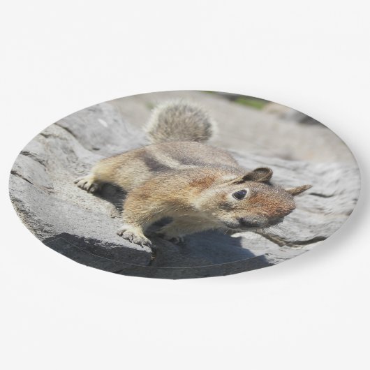 Niedliches Erdeichhörnchen Nature Foto Pappteller (Schrägansicht)