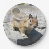 Niedliches Erdeichhörnchen Nature Foto Pappteller (Vorderseite)
