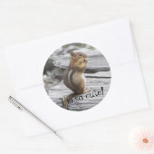 Niedliches Erdeichhörnchen Nature Foto Runder Aufkleber (Umschlag)