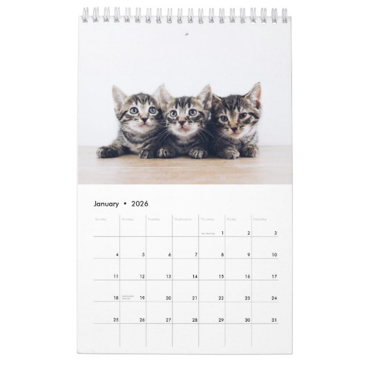 Niedliches Erstellen eines eigenen Cat Pet-Fotos Kalender (Jan 2026)