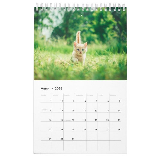Niedliches Erstellen eines eigenen Cat Pet-Fotos Kalender (Mär 2026)
