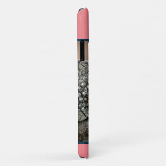 Niedliches Exotisches Reptil Iguana Haustier Case-Mate iPhone Hülle (Hinten/Rechts)