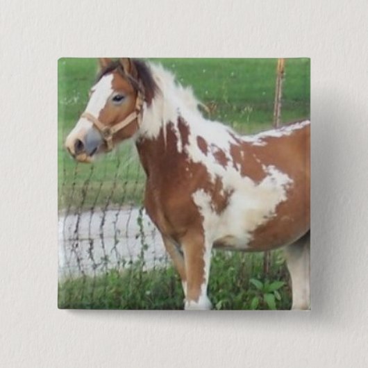 Niedliches Farben-Pony-Button Button (Vorderseite)