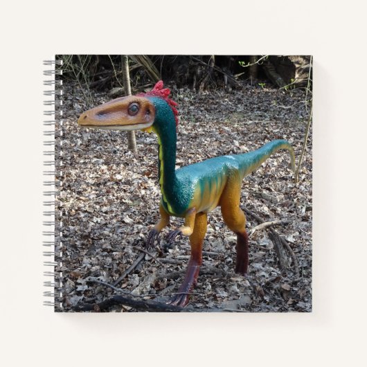 Niedliches farbiges Dinosaurier-Quadrat-Notebook Notizblock (Vorderseite)
