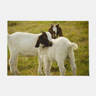 Niedliches Feld für Boerziegen Fußmatte