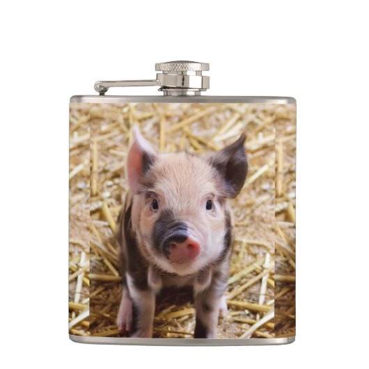 Niedliches Ferkel Flachmann (Vorderseite)