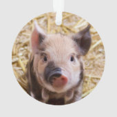Niedliches Ferkel Ornament (Rückseite)