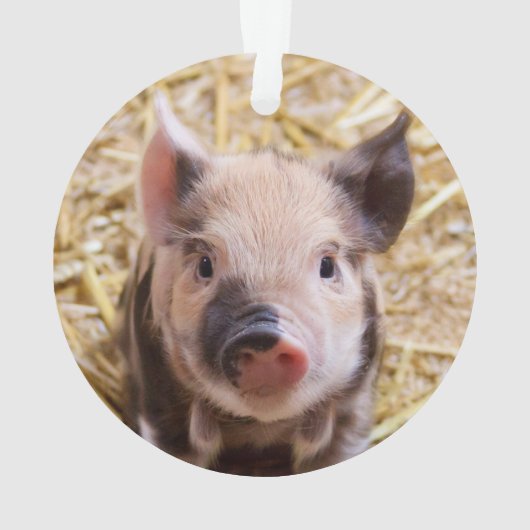 Niedliches Ferkel Ornament (Rückseite)