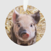 Niedliches Ferkel Ornament (Vorderseite)
