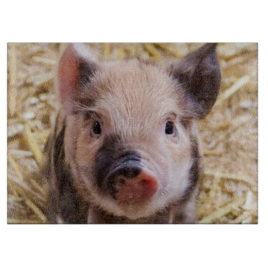 Niedliches Ferkel Schneidebrett (Vorderseite)