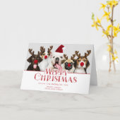 Niedliches festliches Foto der frohe Karte (Gelbe Blume)