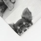 Niedliches flaumiges Chihuahua-Welpen-Muster Fleecedecke (Ecke)